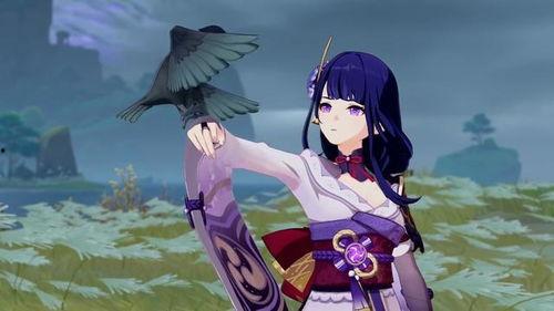 原神最新爆料雷电将军,原神新角色揭秘，神秘力量觉醒